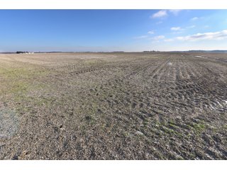 Property photo 32 - MAJOR, HIGH QUALITY LAND AUCTION - 346+/- ACRES OFFERED IN 8 TRACTS IN JACKSON COUNTY, INDIANA
